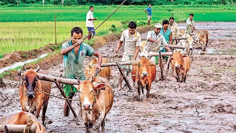 Maharashtra Farmers: नमो शेतकारी महा सम्मान निधि को महाराष्ट्र सरकार ने दिखाई हरी झंडी