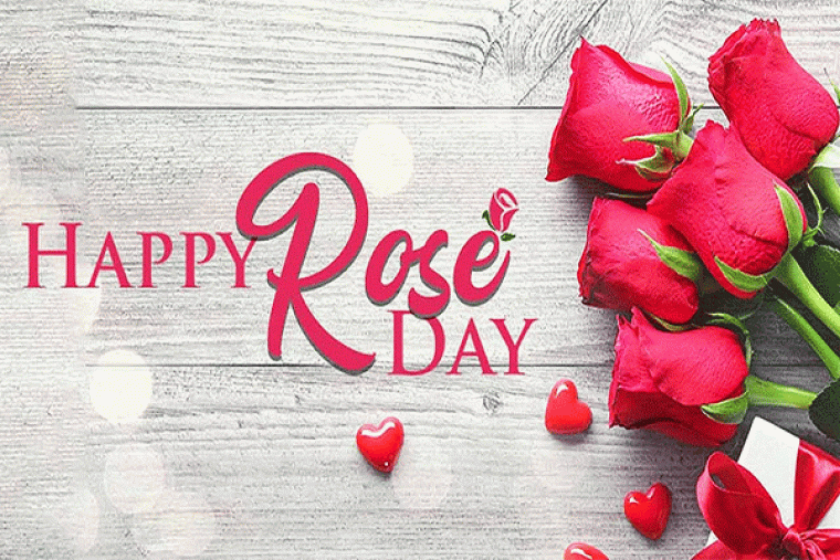 World Rose day 2023: पढ़ें किसकी याद में मनाया जाता है रोज डे और कैसे हुई थी इस दिन को मनाने की शुरुआत