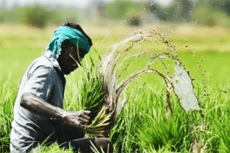 बीड जिले में किसानों को मिलेगा 25 प्रतिशत अग्रिम फसल बीमा