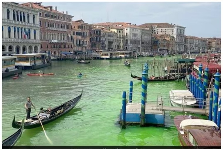 Venice Grand Canal: क्यों हो रहा है वेनिस में ग्रैंड कैनाल के पानी का रंग हरा... प्रशासन ने बताई वजह!
