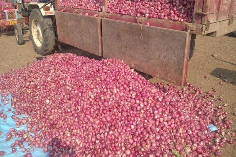  प्याज की सही कीमत न मिलने से नाराज किसानों ने पिंपलगांव येवाला में रोकी नीलामी 